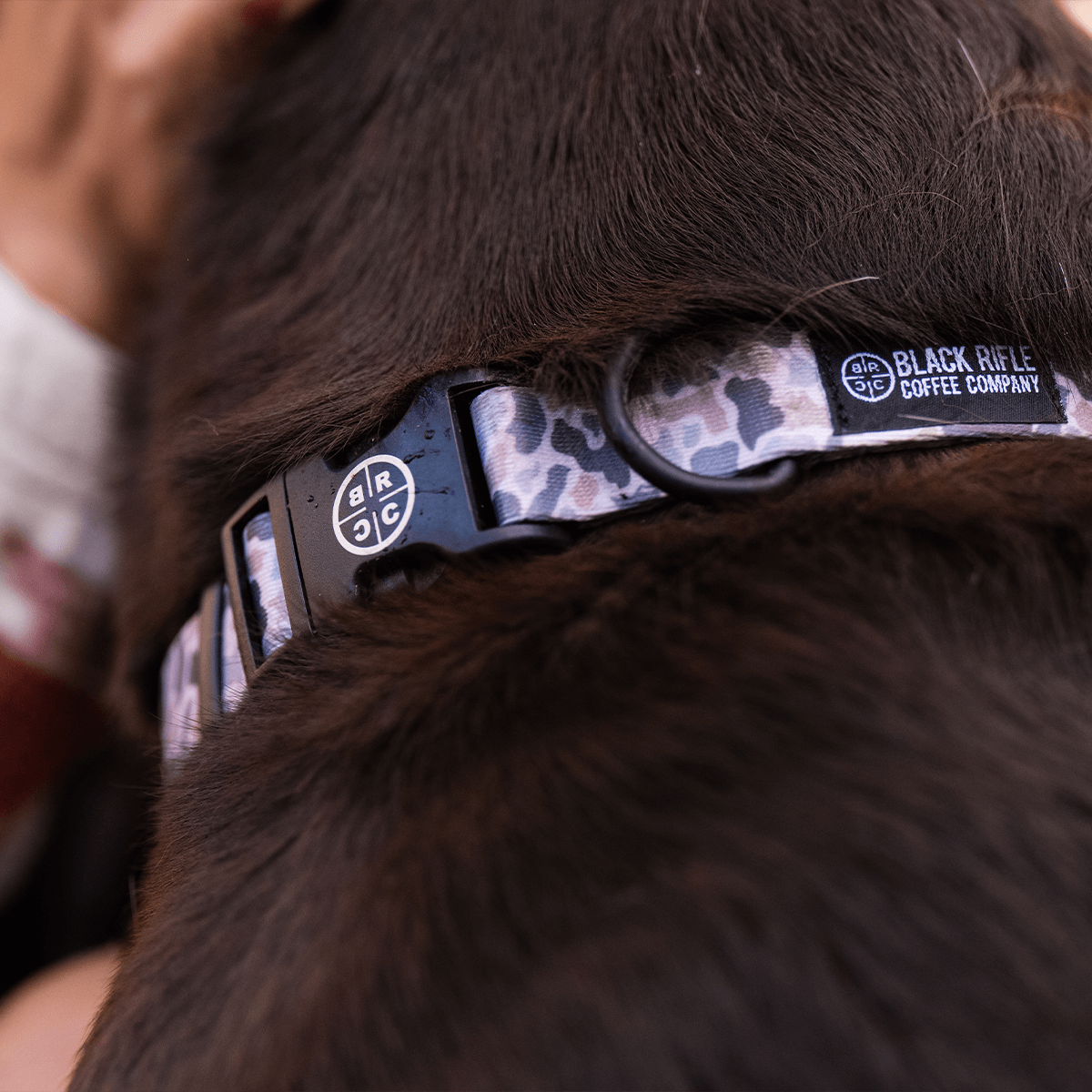 Duck dog accessories hot sale